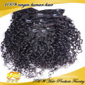 Qingdao hair factory, 100% unprocessed virgin clip in hair extension from qingdao China